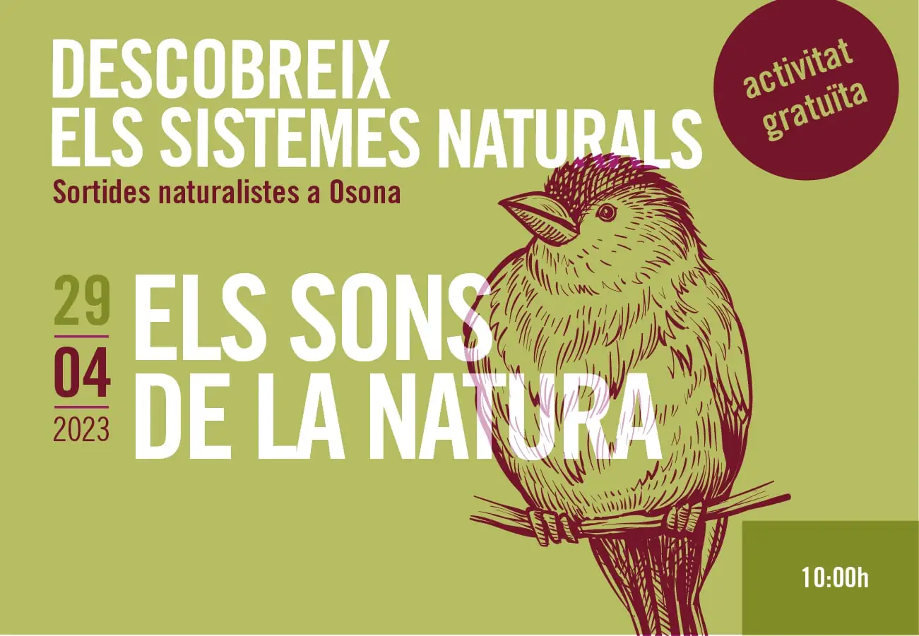 Els sons de la natura. Sortides naturalistes a Osona 2023