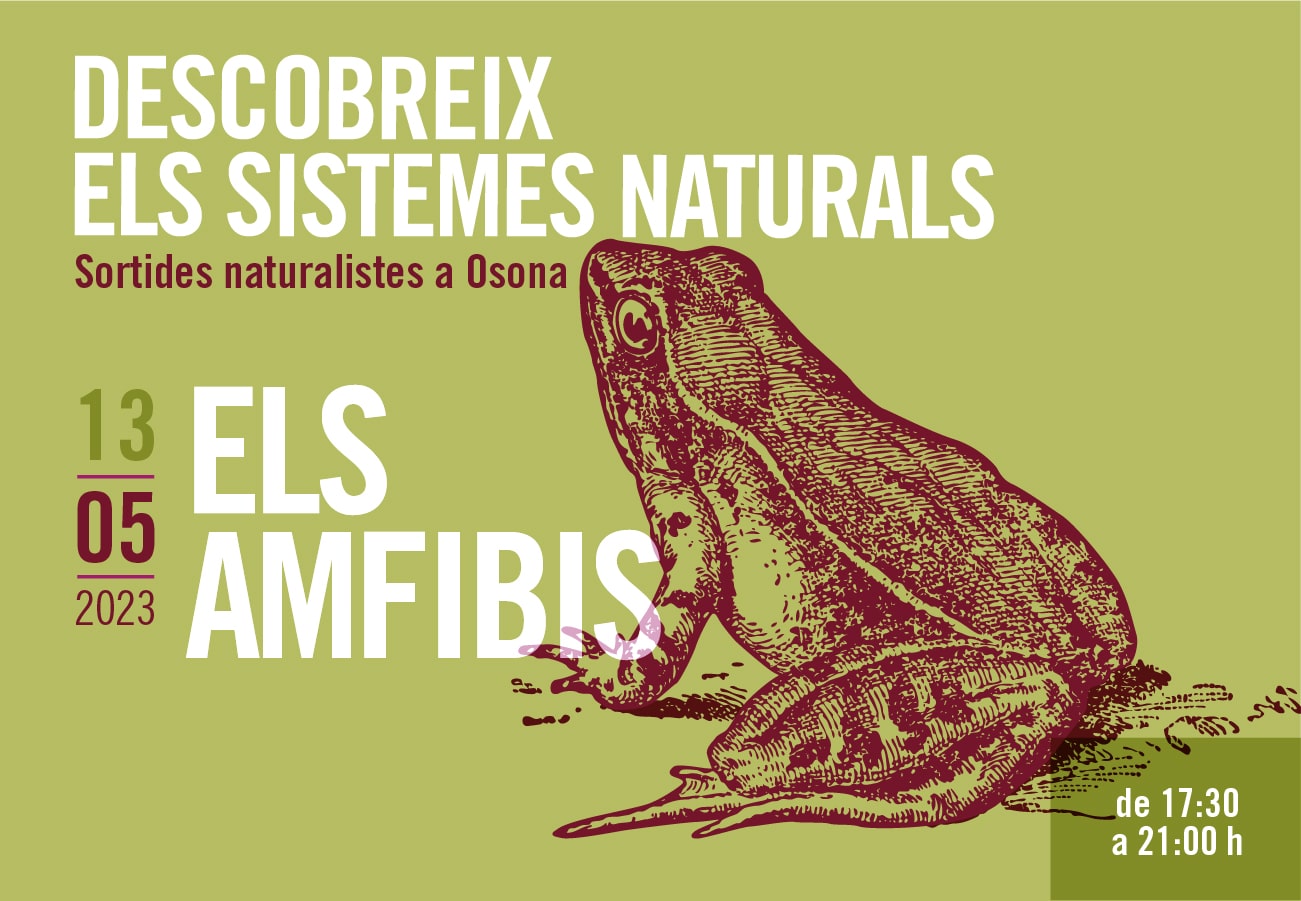 Els amfibis. Sortides naturalistes a Osona 2023