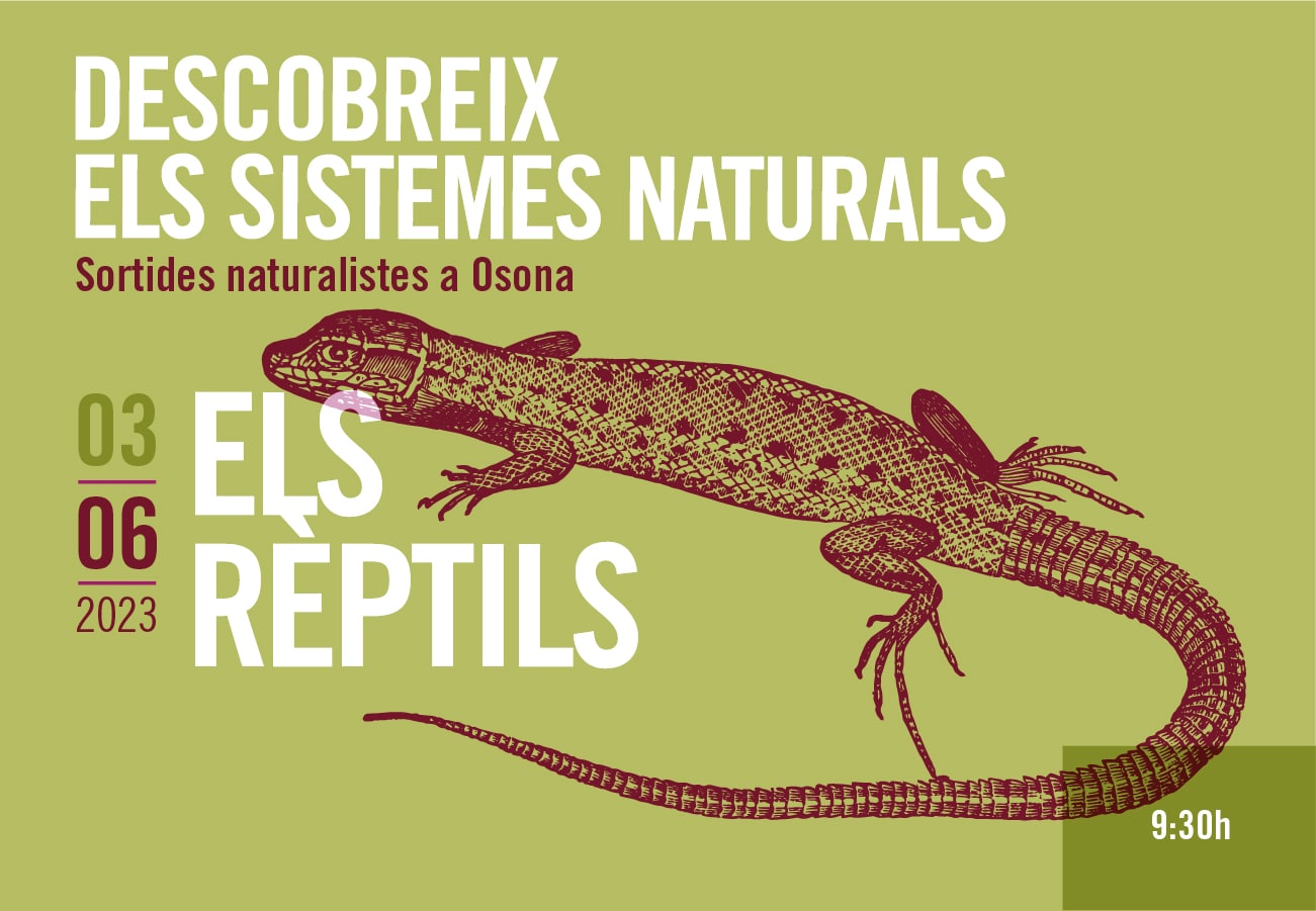 Els rèptils. Sortides naturalistes a Osona 2023