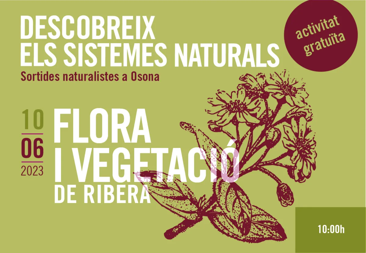 Flora i vegetació de ribera. Sortides naturalistes a Osona 2023