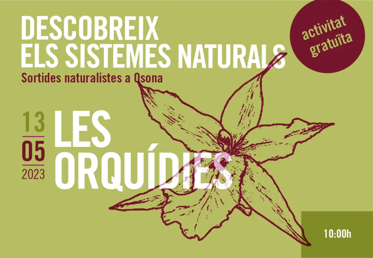 Les orquídies. Sortides naturalistes a Osona 2023