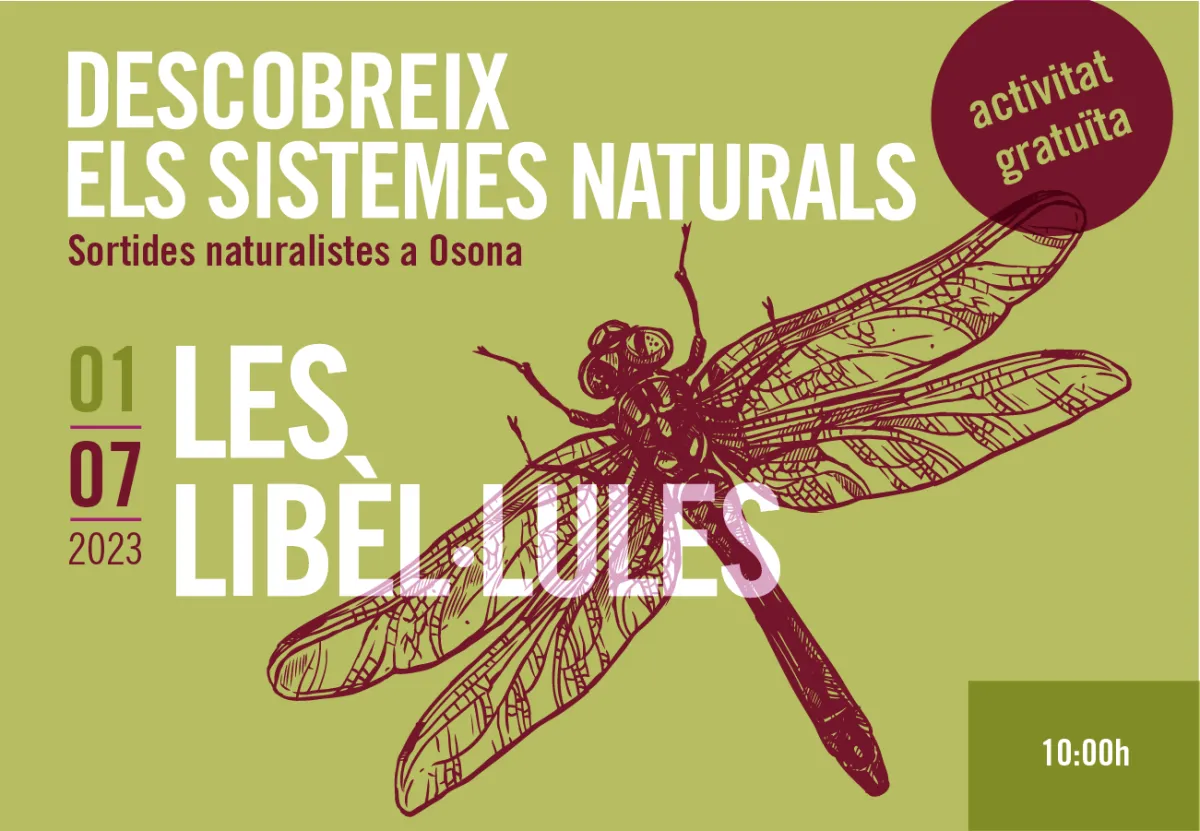 Les libèl·lules. Sortides naturalistes a Osona 2023