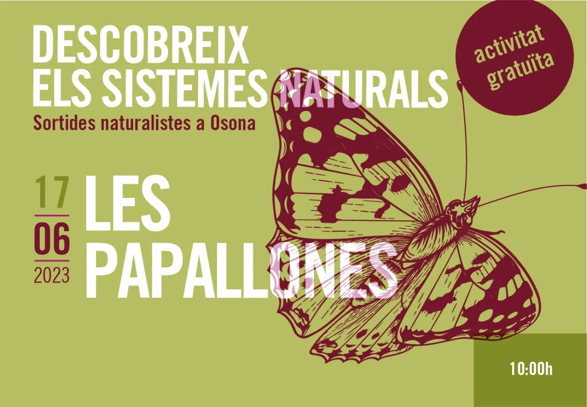 Les papallones. Sortides naturalistes a Osona 2023