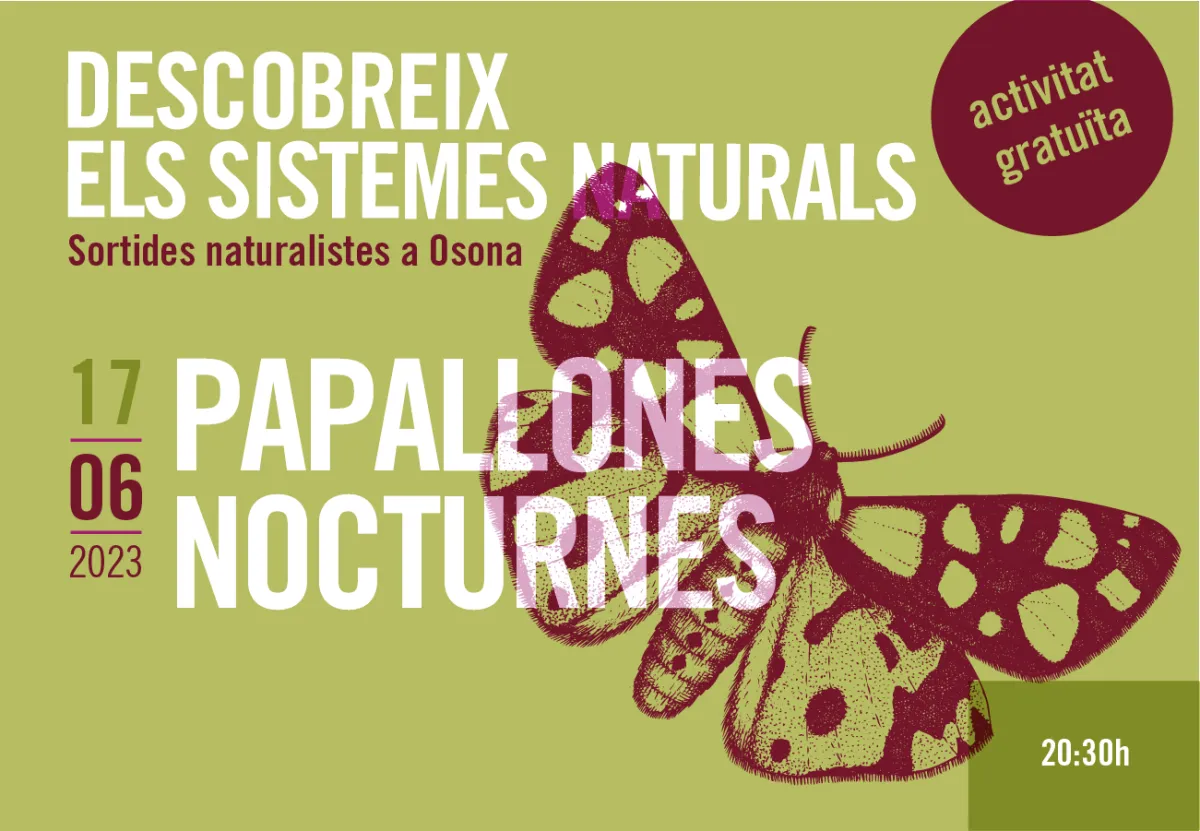 Papallones nocturnes. Sortides naturalistes a Osona 2023