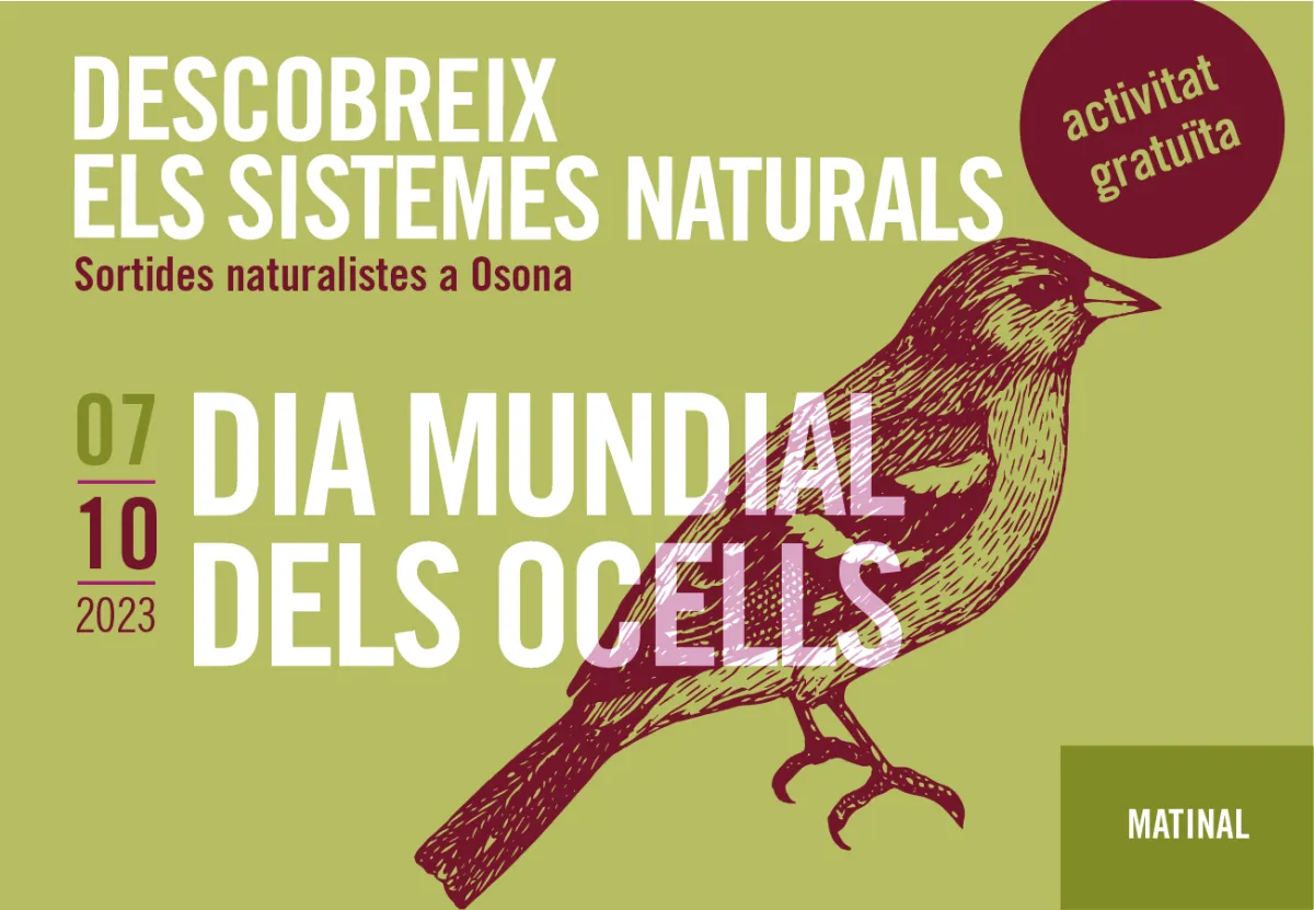 Dia mundial dels ocells. Sortides naturalistes a Osona 2023