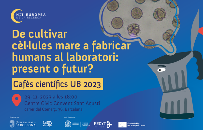 «Cafès Científics UB» - De cultivar cèl·lules mare a fabricar humans al laboratori: present o futur?