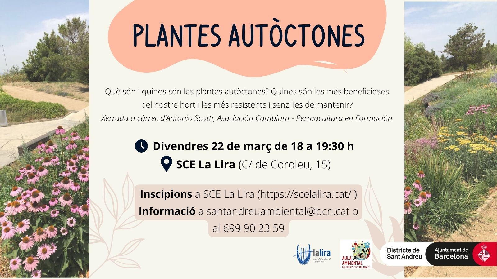 Plantes autòctones