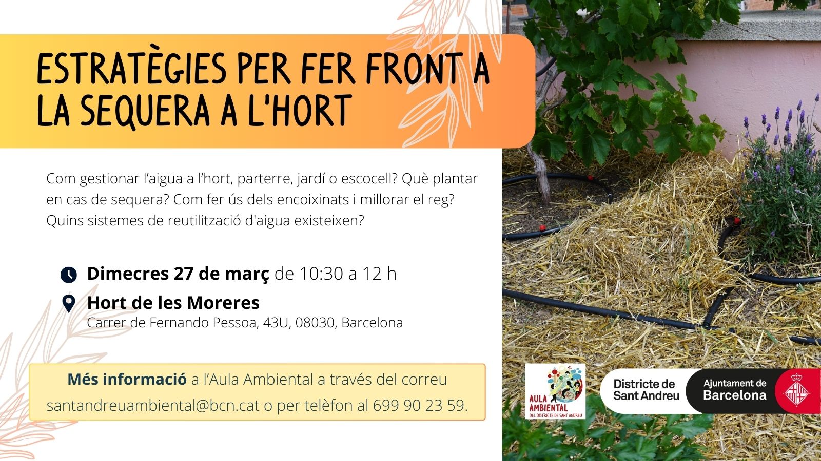 Estratègies per fer front a la sequera a l’hort