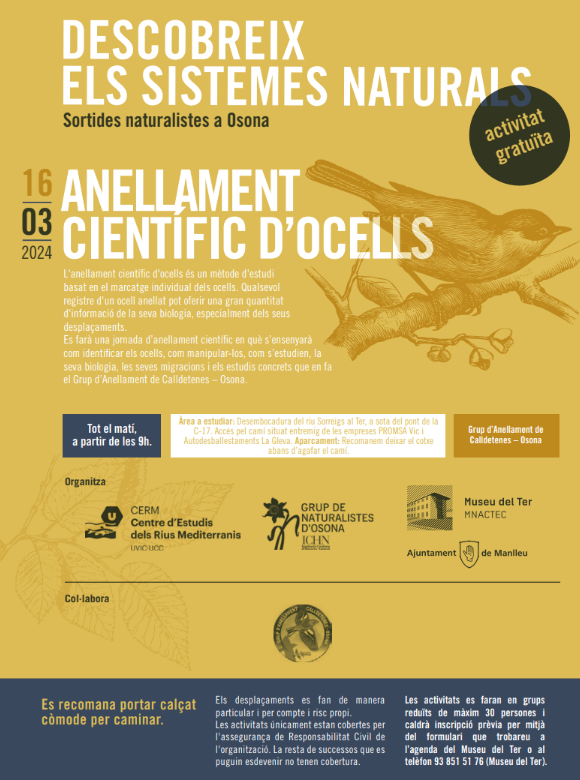 Sortides naturalistes a Osona 2024. Anellament científic d’ocells