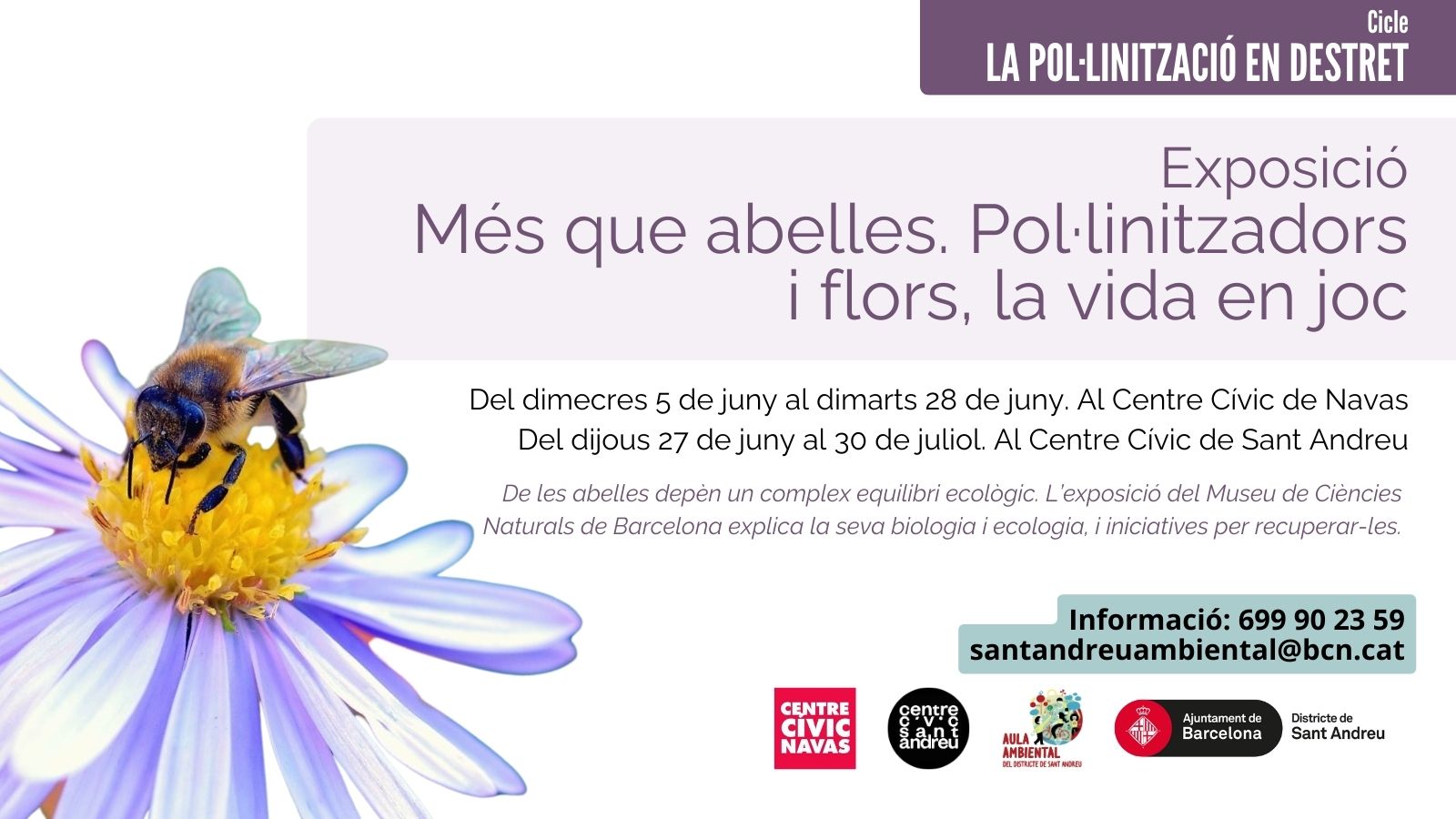 Exposició: Més que Abelles. Pol·linitzadors i flors, la vida en joc