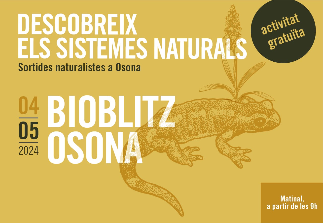 Bioblitz Osona. Sortides naturalistes a Osona 2024