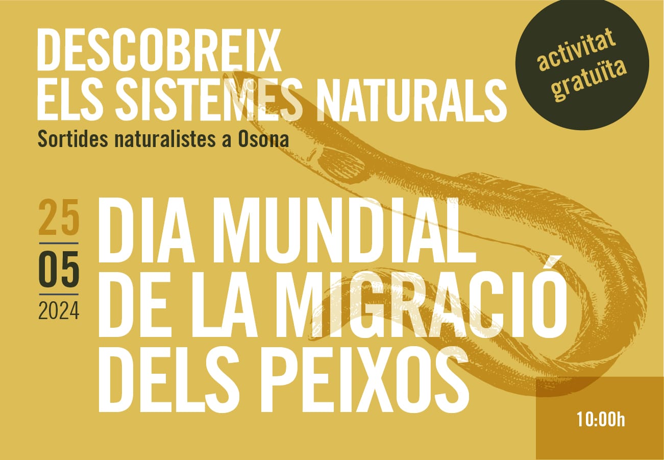 Dia Mundial de la Migració dels Peixos: sortides naturalistes a Osona