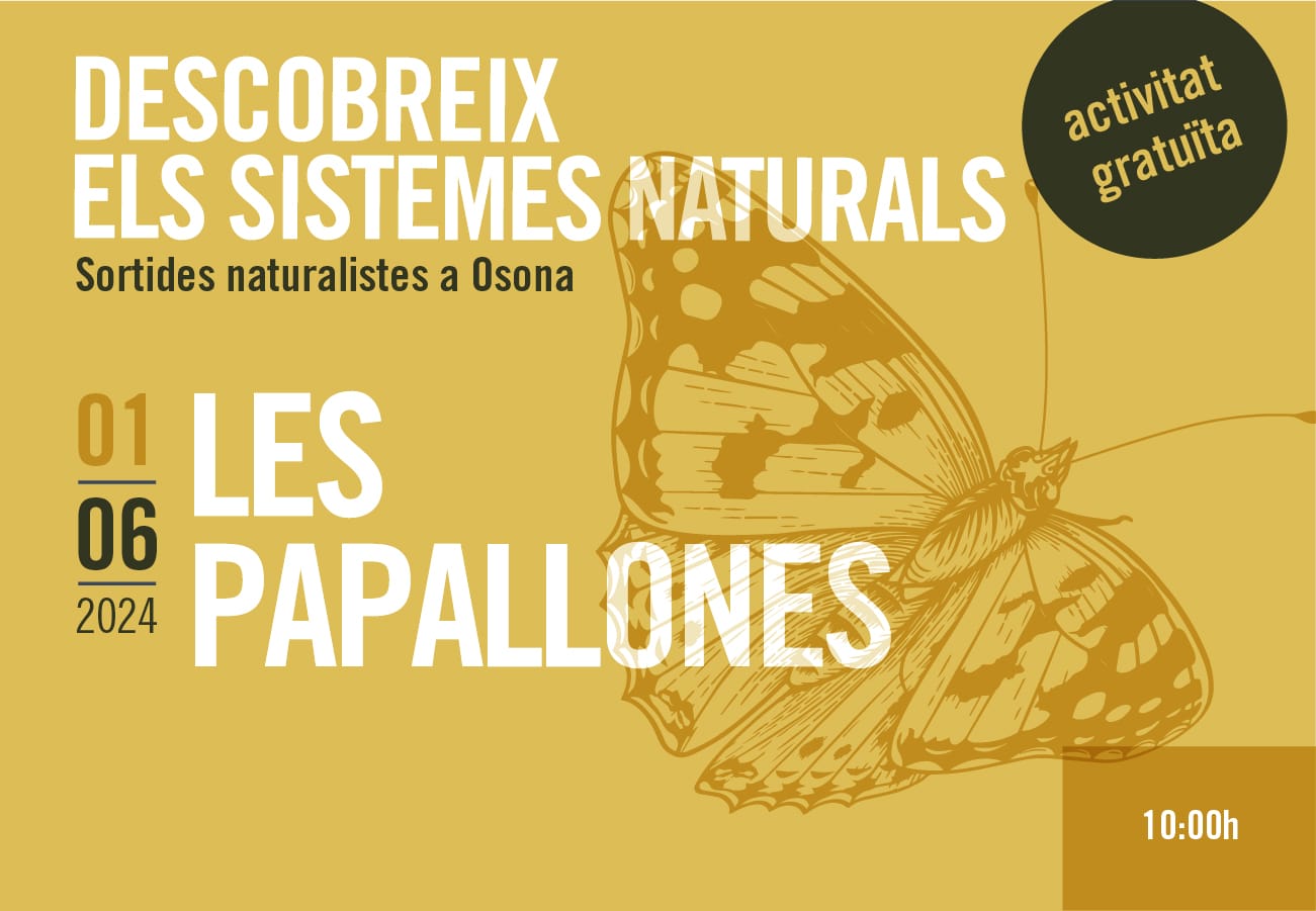 Les papallones. Sortides naturalistes a Osona 2024