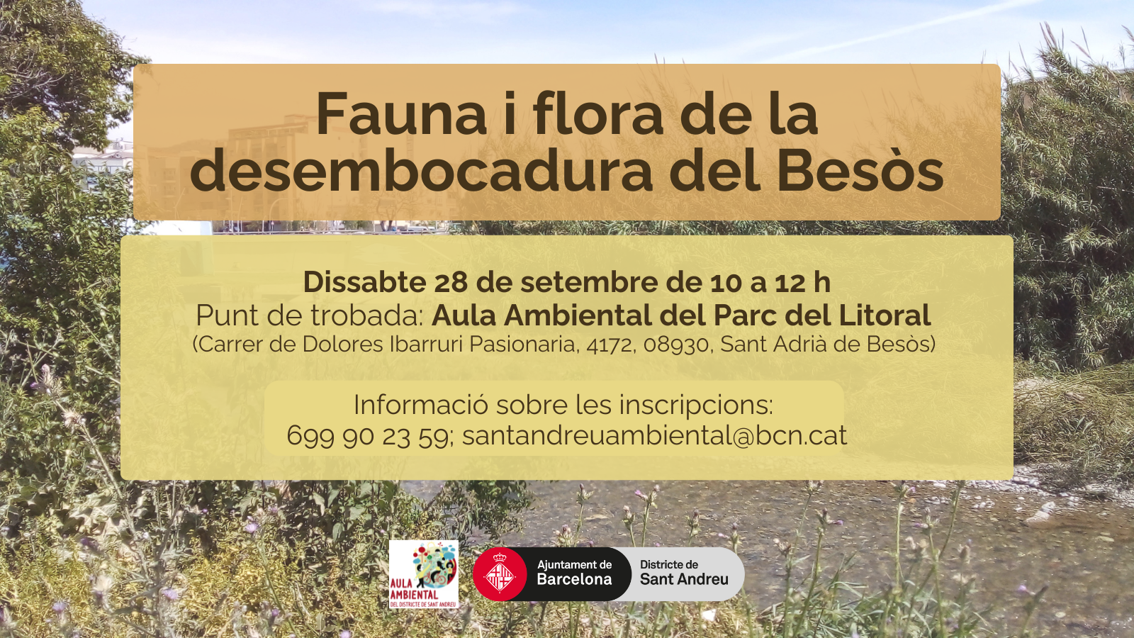 Fauna i flora de la desembocadura del Besòs