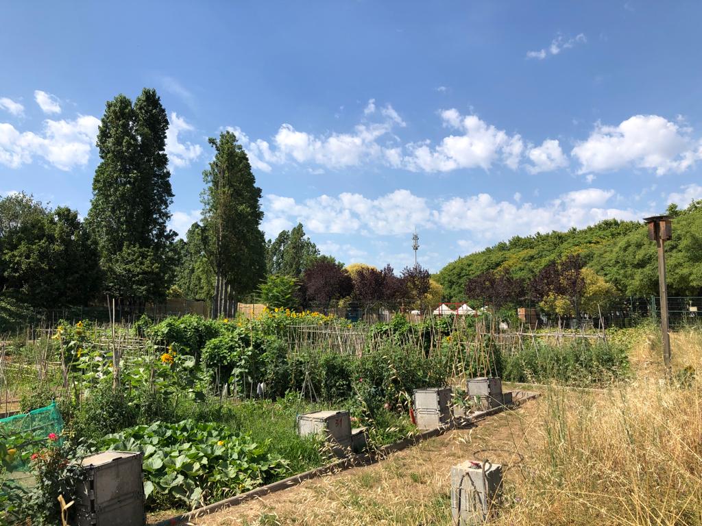 Visita als Horts Urbans Municipals de Trinitat Vella